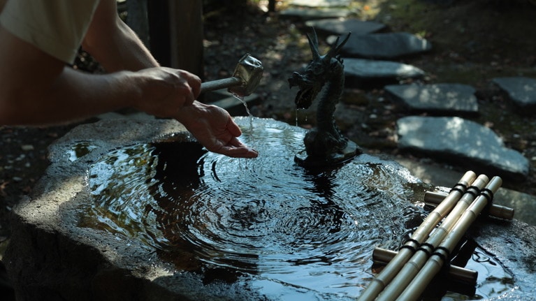 「私たちの新潟旅行」　大原えみ 「清い」 清らかな午後の光が注ぐ中で。
