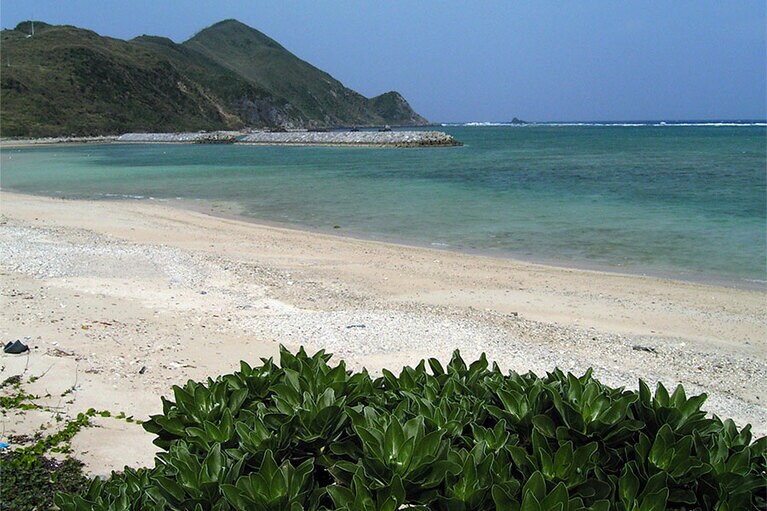 遠浅の海が広がる「あがり浜」。干潮時はリーフの近くまで歩いていけます。