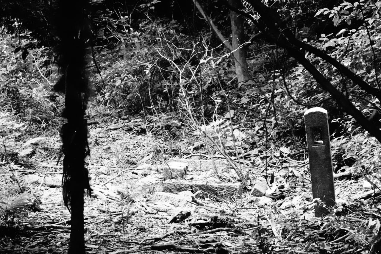 写真はイメージです。写真：travelclock/イメージマート