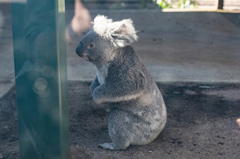 横顔もかわいい。