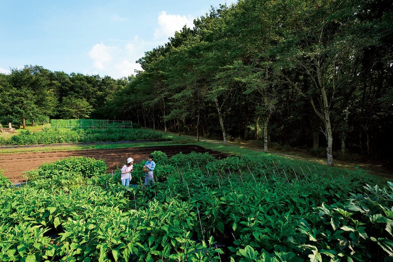 年間120種類以上の野菜やハーブを育てる農園「アグリガーデン」
