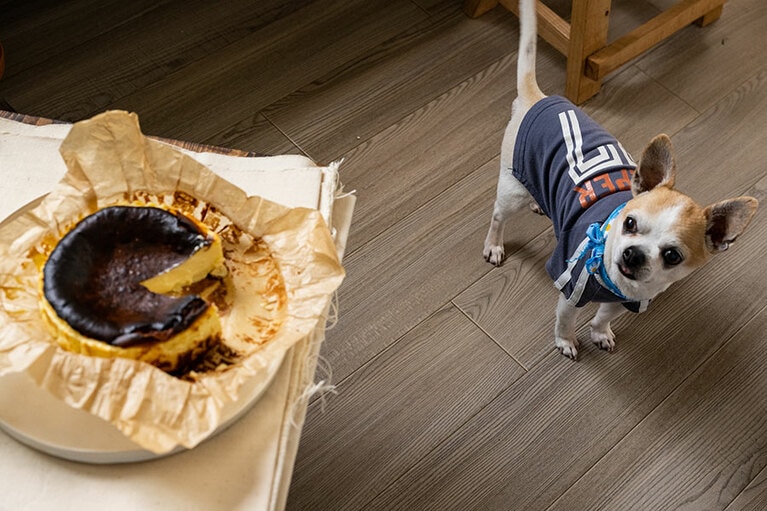 「バスクで学んだチーズケーキ」5号（1ホール）3,800円（税込）。