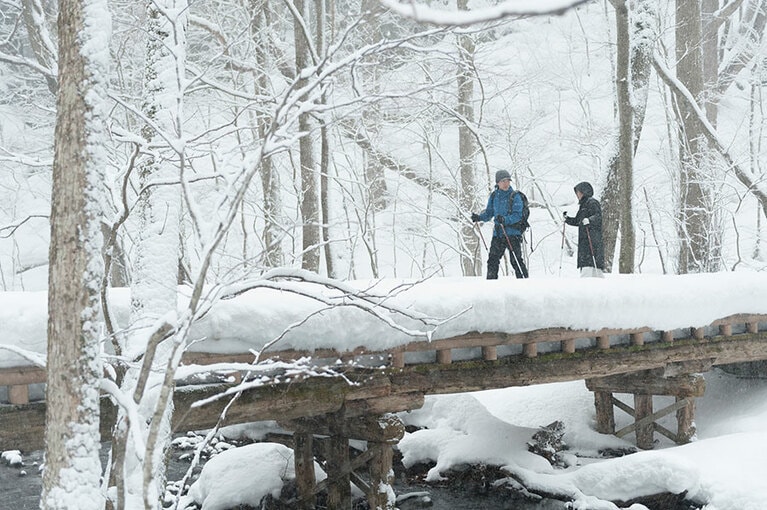 スノーシュー初心者でも気軽に参加できる「氷瀑スノーシューツアー」で凍った滝へ。