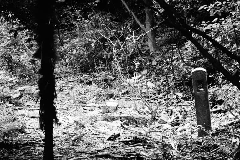 写真はイメージです。写真：travelclock/イメージマート