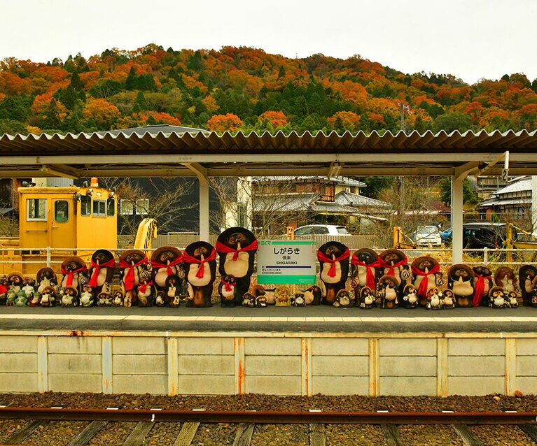 信楽のたぬきたち／滋賀県