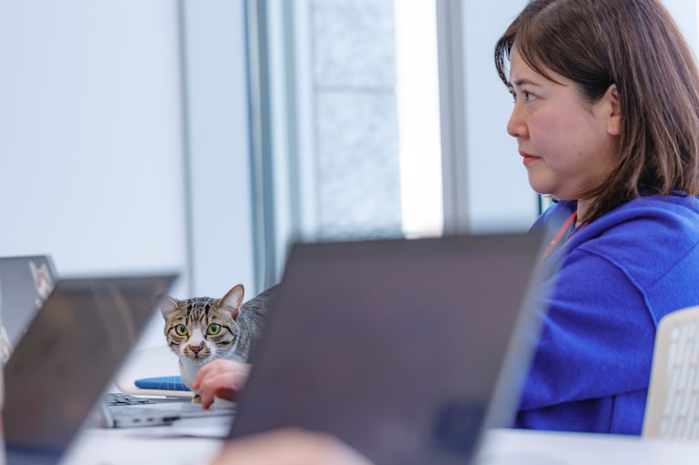 ドロンパくん、会議に参加中。