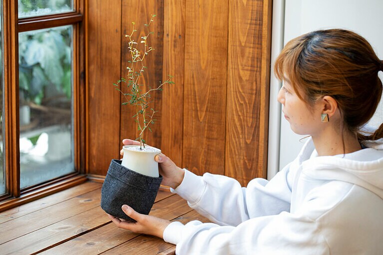 冬は鉢カバーをつけて、防寒対策を。