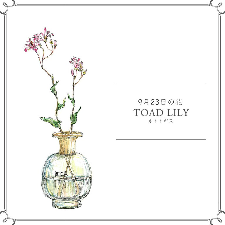 9月23日の花「ホトトギス」