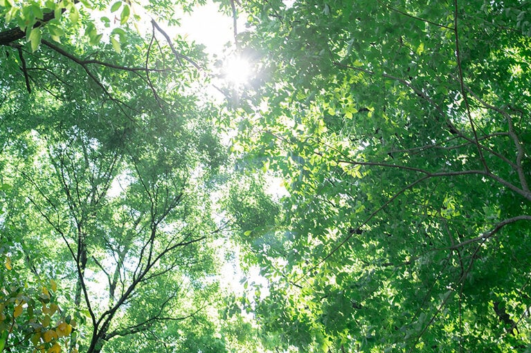 自転車で少し足を延ばしてみれば、都内にも爽やかな風が吹く場所がたくさん見つかるはず。