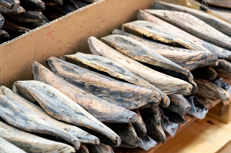 沖縄のかつお節消費量は全国一。背節、腹節、個体差を見ながら目的に合ったかつお節を選び、その場で削ってもらう人が多い。