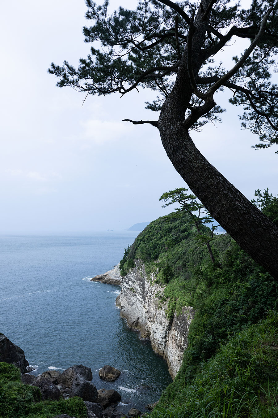 晴天時には海の先に富士山が望めます。