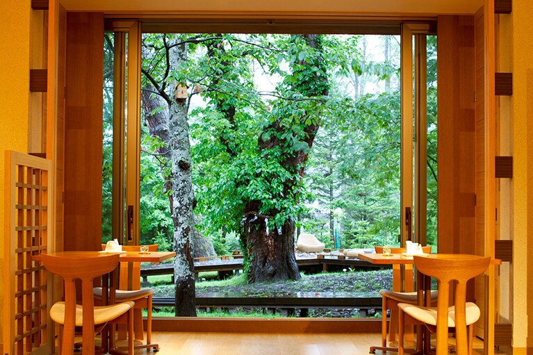 奥日光森のホテル［栃木／日光湯元温泉］ごしんぼくテラスを望むラウンジ。