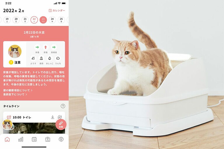 トレッタキャッツ「Toletta」