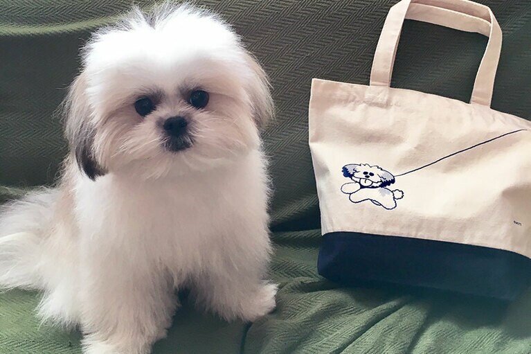 モコゾウおさんぽトート 1,500円／ナタリーストア