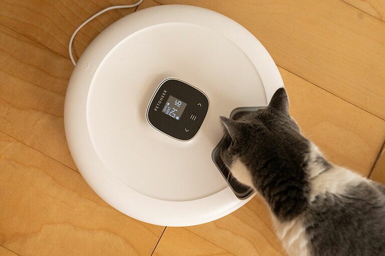 おいしそうに食べています。