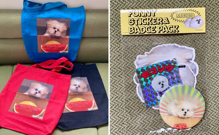 （左）エコバッグは大きめで内ポケット付き。（右）ミニトマトにジャンプするバッジ入りステッカー3枚セット。