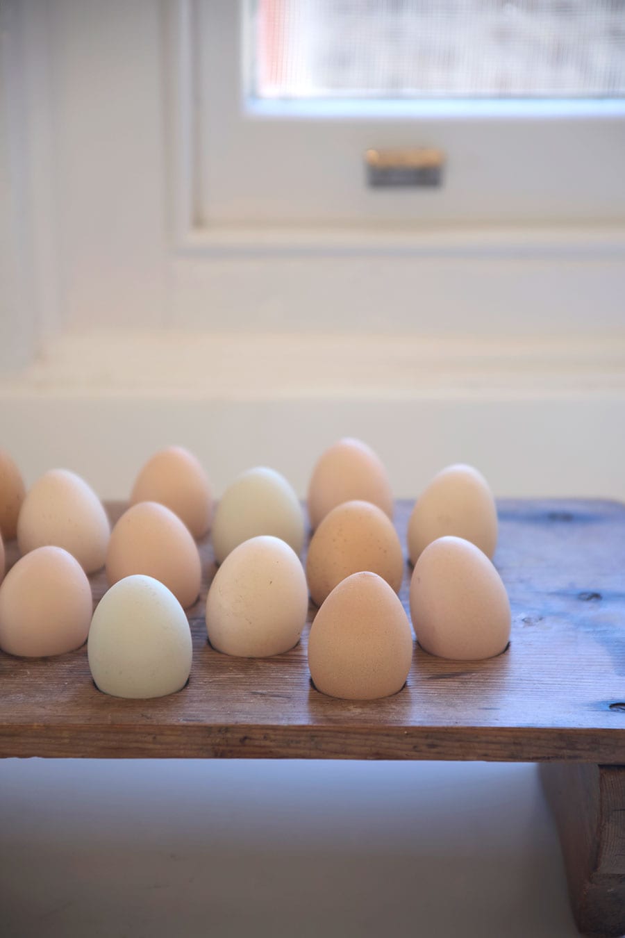 左：料理教室で使われる地元産の卵。淡い茶色やグリーンなど餌によって色が変わるという。
右：12人が定員の料理教室は7時間440ドル～。