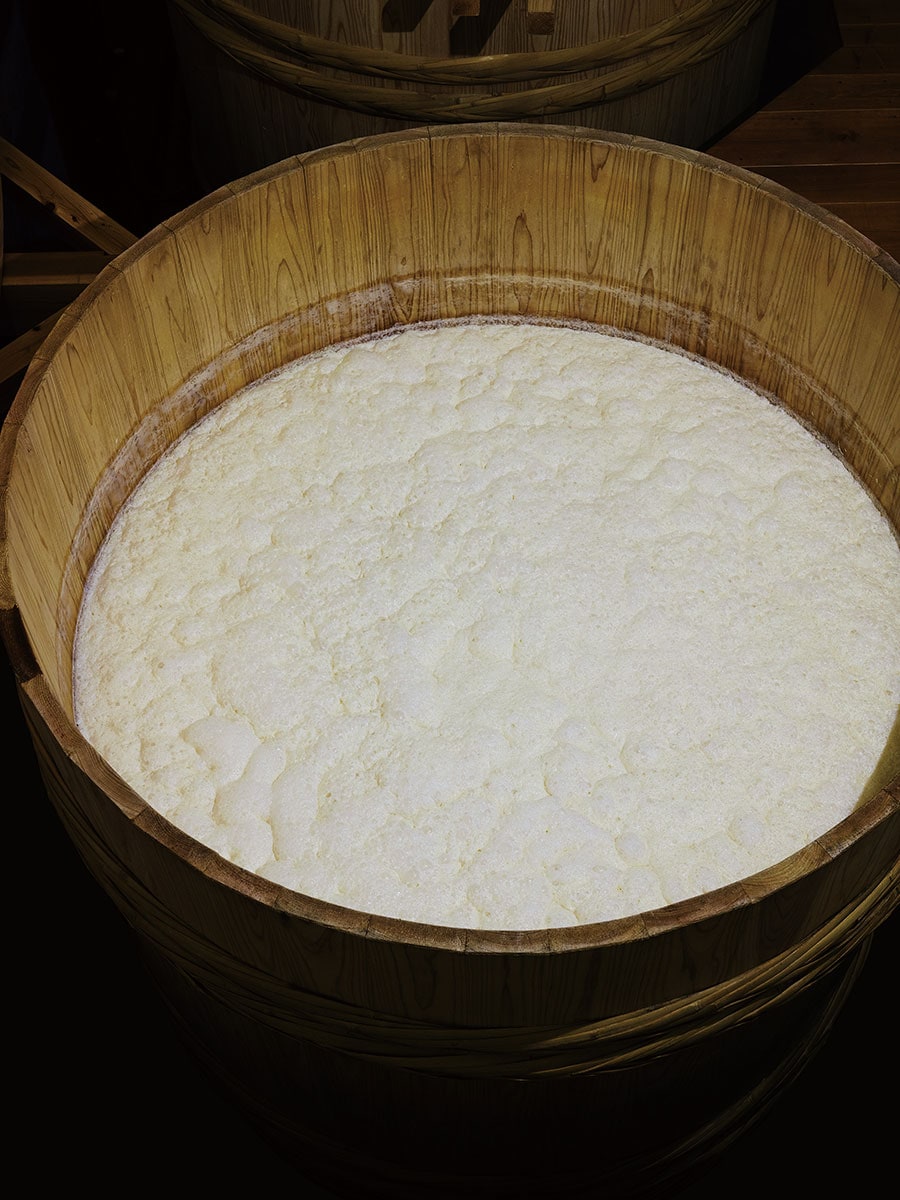 糖化と発酵が同時に進行していくことで、お米は日本酒へと変化していく。新井‘Lai’政廣（C）2023Patagonia, Inc.
