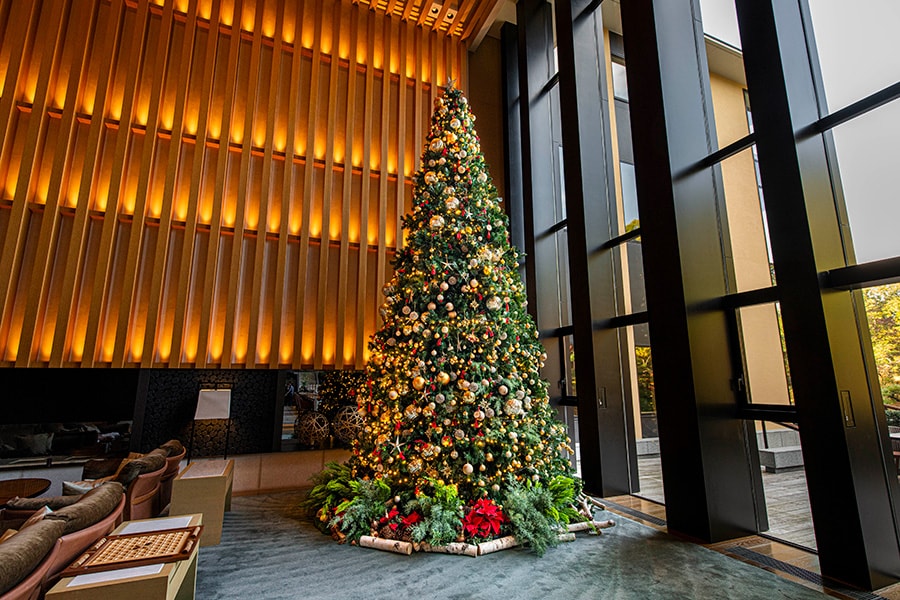 【フォーシーズンズホテル京都】 平安時代から続く名庭とクリスマスツリーが溶け合う風景 | ホテルのクリスマスツリー | 写真 | 11枚目
