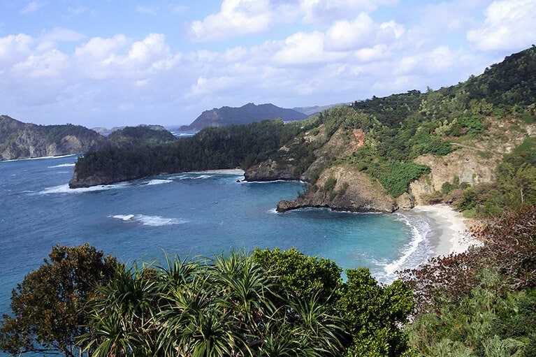 中山峠から見下ろした、小港海岸。亜熱帯の植物が、ここが東京都であることを忘れさせます。