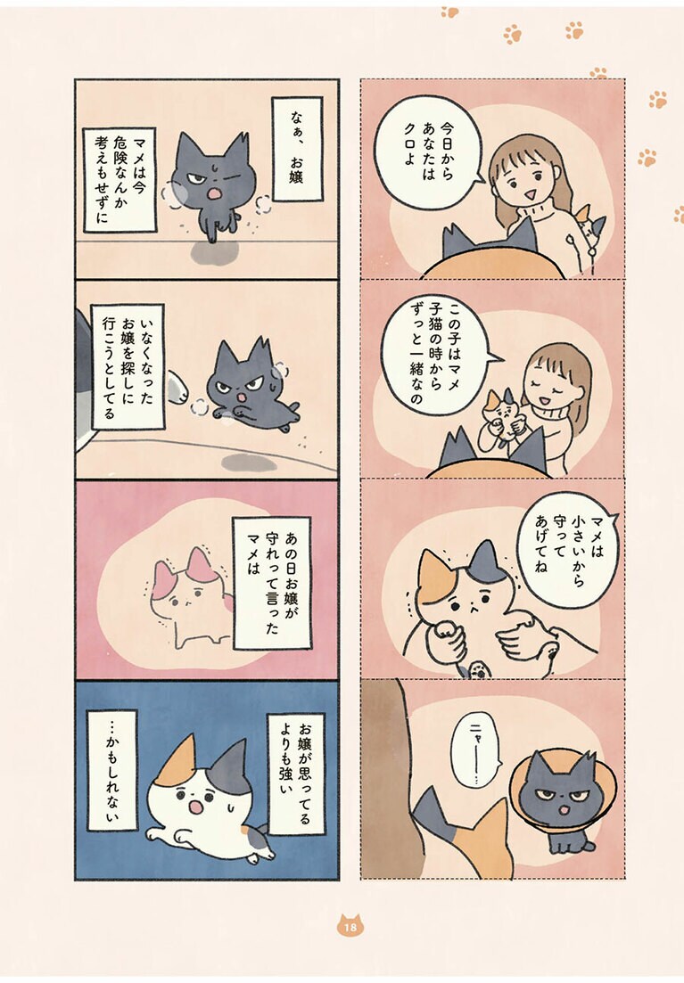 『もしもなんて来ないと思ってた猫』オキエイコ（実業之日本社）。