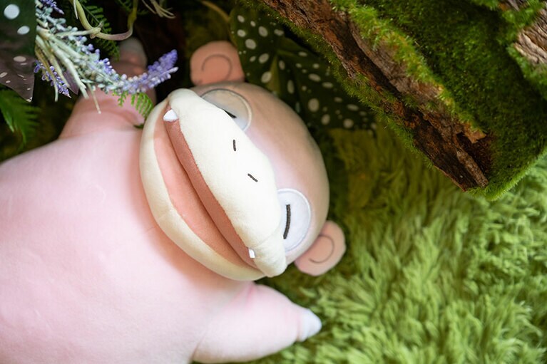 爆睡するヤドン。