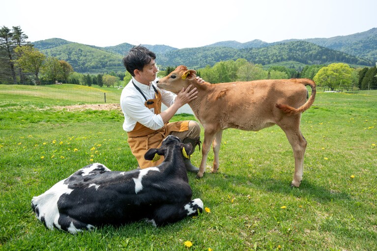 反抗期前の子牛。鹿っぽい顔のジャージー種（右）の子は本当に人懐こい。