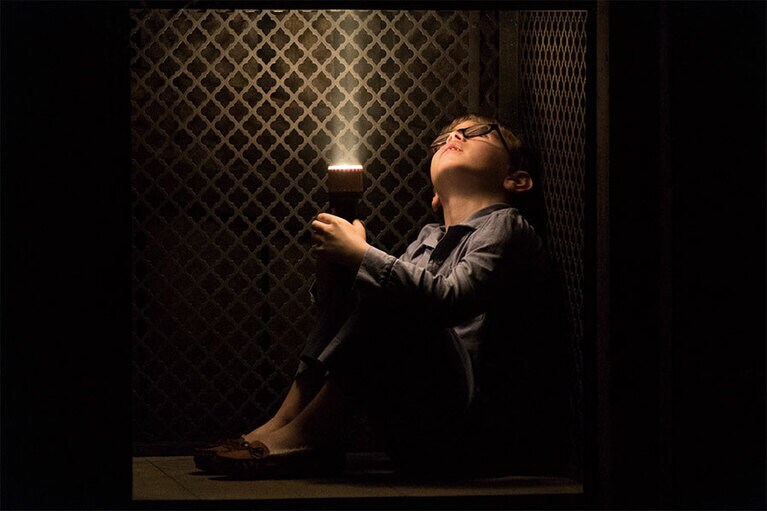 Netflixオリジナルシリーズ『ザ・ホーンティング・オブ・ヒルハウス』独占配信中。