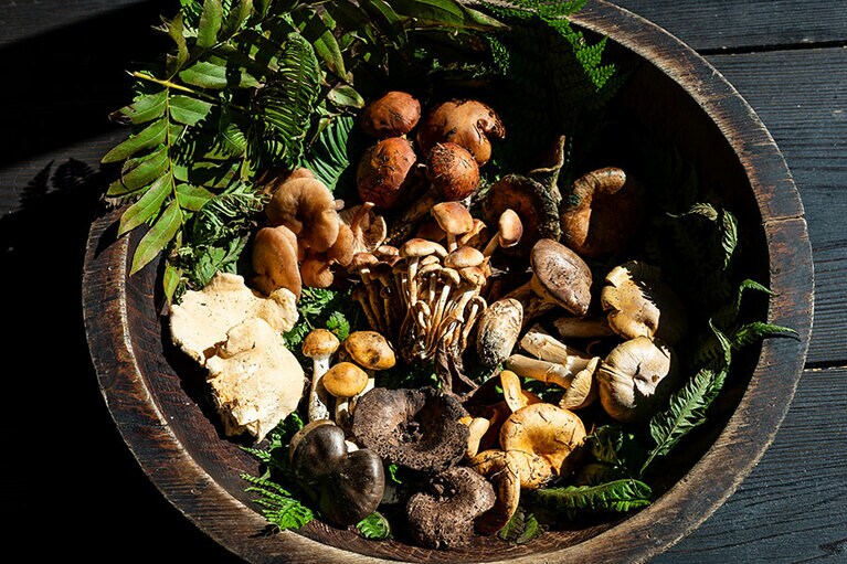 新潟県・里山十帖の秋