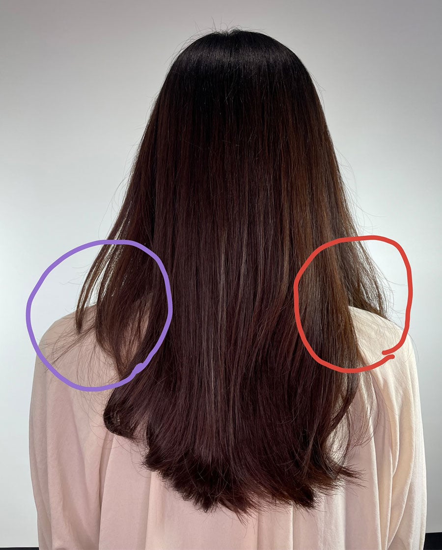 私の髪の状態です。左の紫部分に比べて、右側の赤で囲った部分が傷んでいます。なお、広がっているのは傷みゆえでなく、パーマをかけているせいです。
