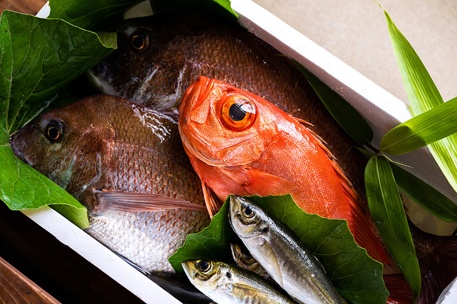 島に揚がる魚介は、大きいうえに旨みもたっぷり。