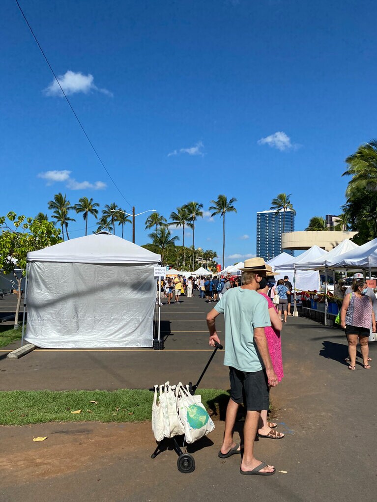 ゴルフ用のキャリーカートをエコバッグ用に使用のクレバーなカップル。