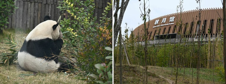 「秋月館」の屋外にいた隆浜。2024年12月7日。