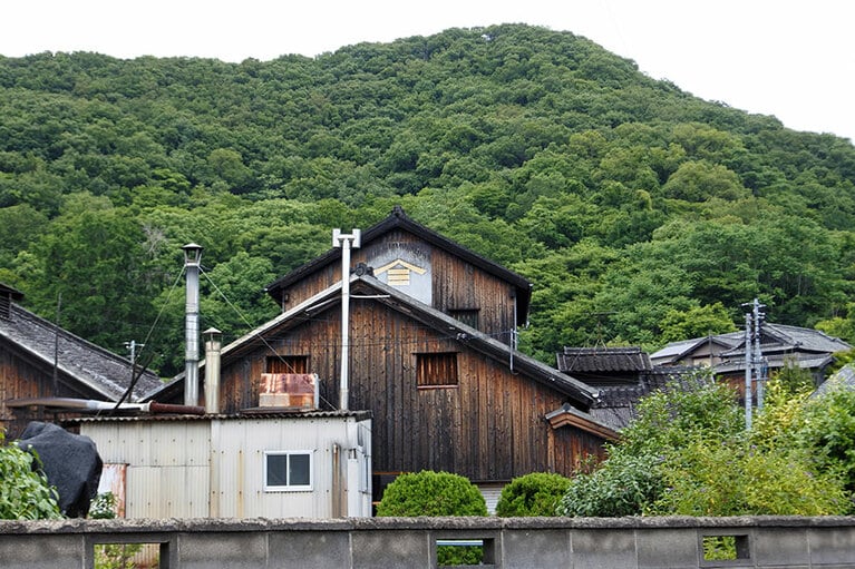 約1400万年前に火山活動によって誕生し、陸地が隆起した小豆島。あちこちで山を目にします。