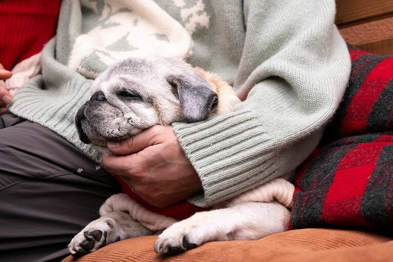 アザーカット。