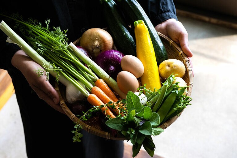 自家農園の採れたて野菜。