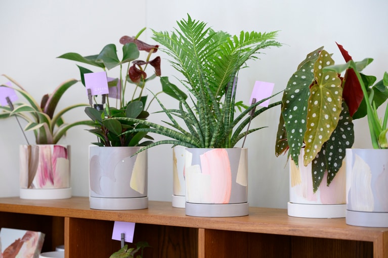 グリーンに合わせてペイントされた一点ものの鉢。