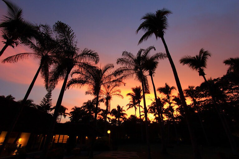 極彩色の夕焼けにヤシの木のシルエットがくっきりと浮かび上がってドラマチック！