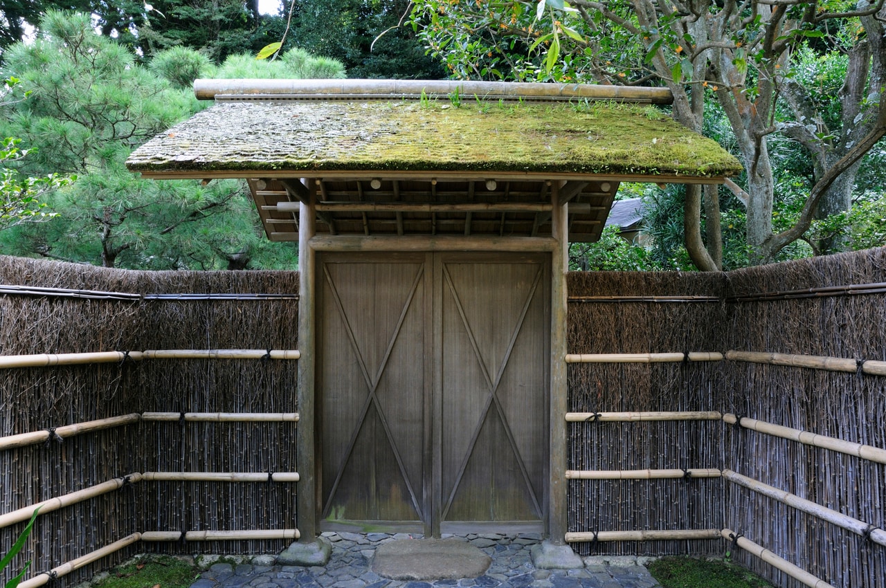 写真はイメージです。写真:GYRO_PHOTOGRAPHY/イメージマート