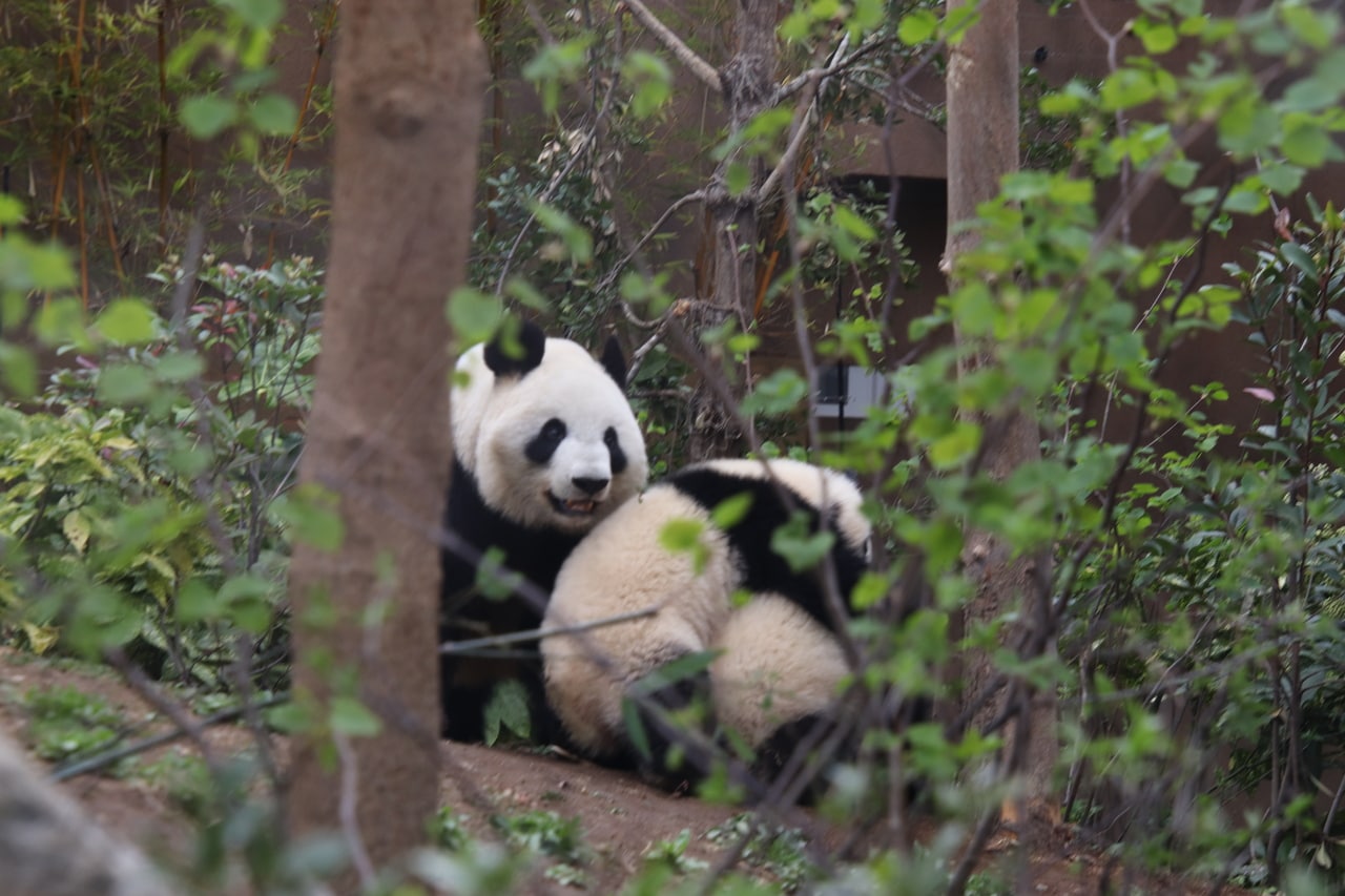 2022年3月29日撮影。親子で仲良く過ごす様子。