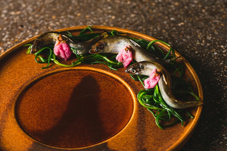 鮎を塩焼き。庭で採れた桜のピクルスをアクセントに。