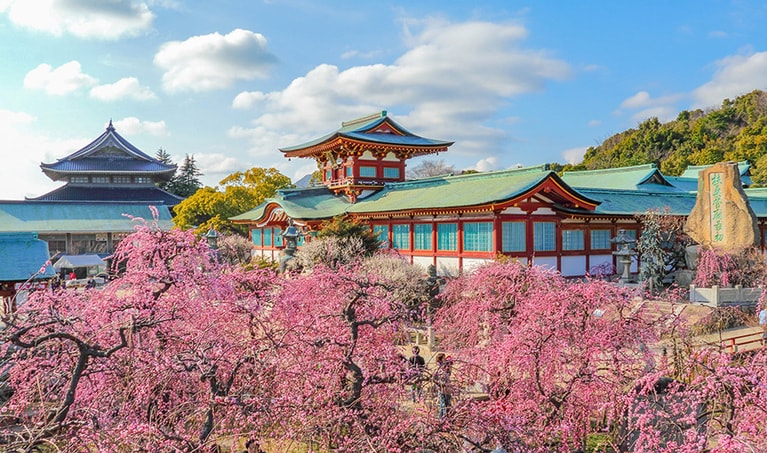 梅の名所　防府天満宮。