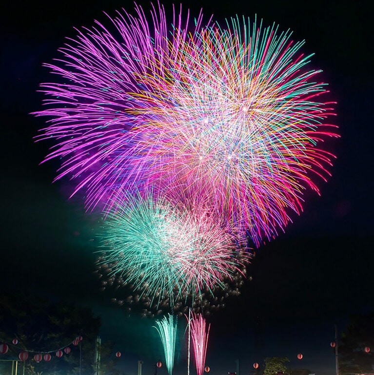 【埼玉県北足立郡】伊奈まつり。