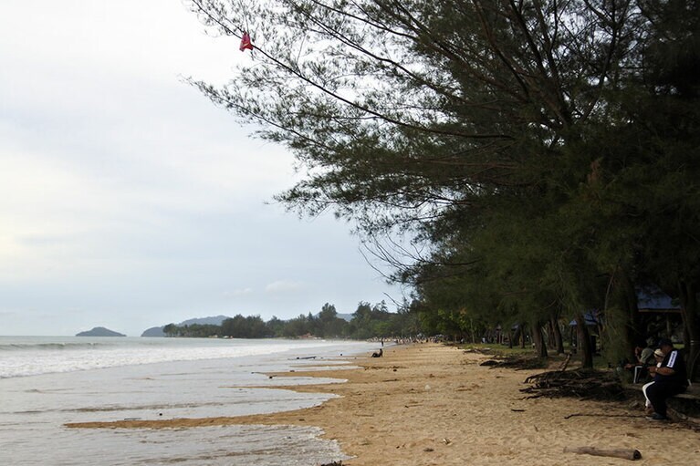 やや人の手が入ったビーチ2。カジュアリーナの並木がビーチを縁取っています。