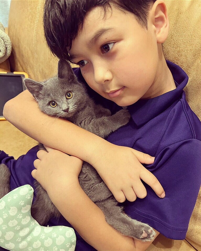 JJ オス 1歳。今日から家族になるんだよ♡ 甘えん坊のシャルトリュー（ladybirdさん）。