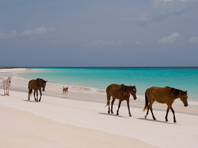 チャールズ皇太子とダイアナ妃が ハネムーンで訪れたピンクの砂浜 今日の絶景