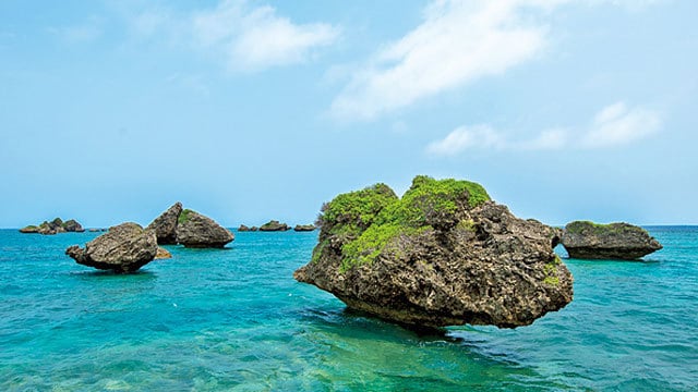 img_442f355cbf39f382d7de56ae20