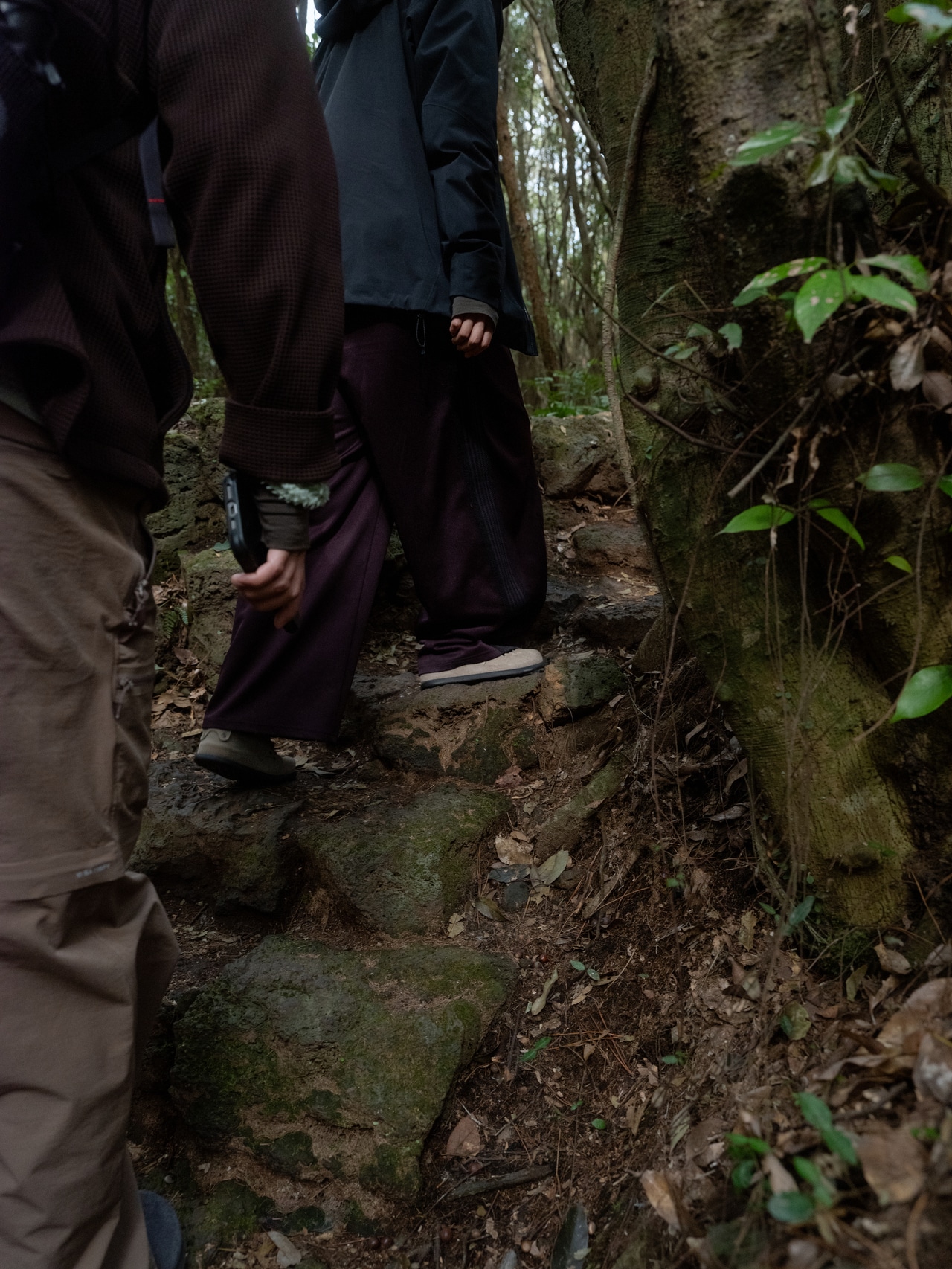 ウォーキングなど、軽いアウトドアアクティビティのシチュエーションにも。