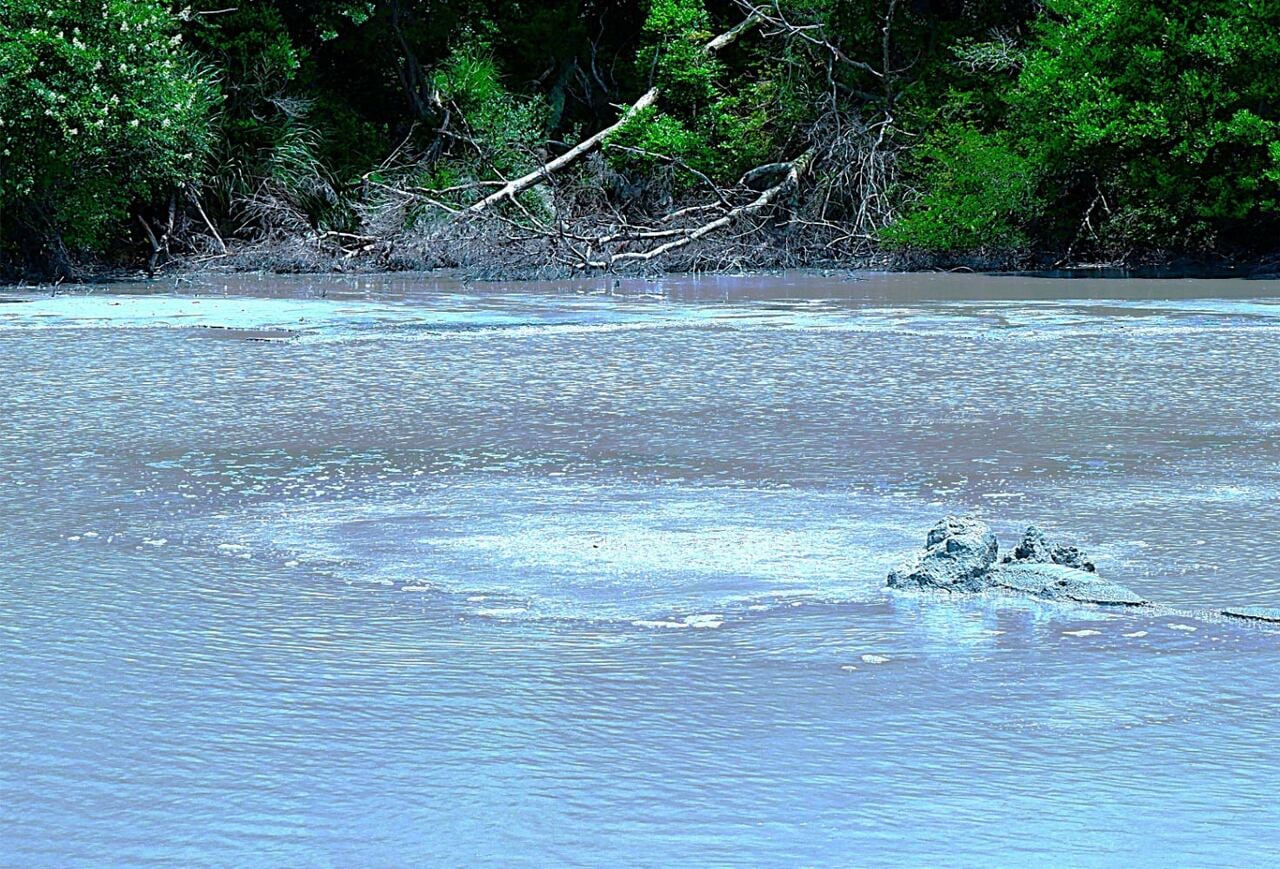 水面にはジャグジーのように熱湯が噴出している