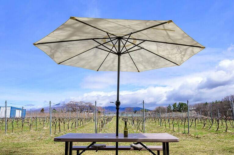 開放感いっぱいのブドウ畑と、周囲を取り巻く山々を一望する特等席。
